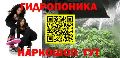 гидропоника Дубна