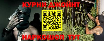 гидропоника Дубна