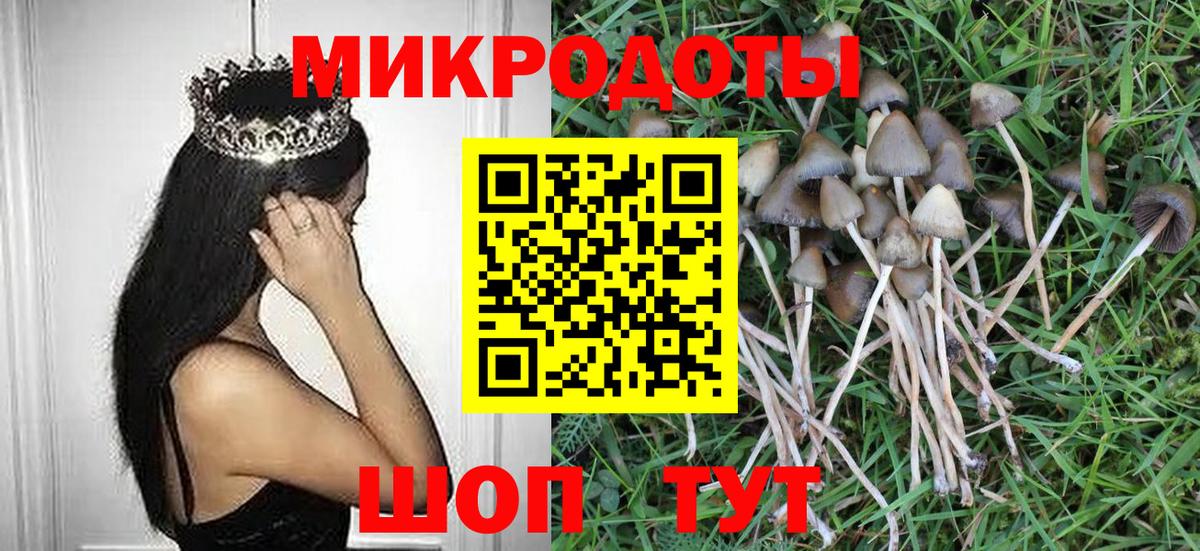 где купить   Галлюциногенные грибы прущие грибы  Вход с VPN  Кушва  Псилоцибиновые грибы MAGIC MUSHROOMS 